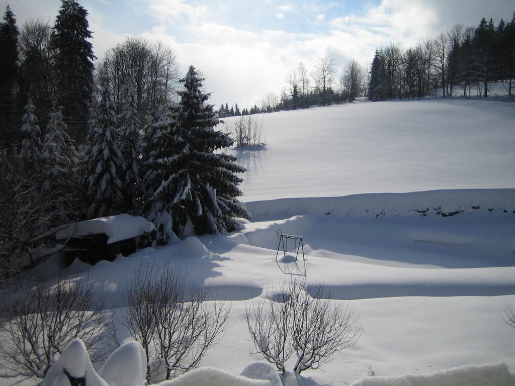 Chalet Lomy Nove Mesto nad Metuji Quarto foto